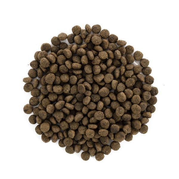 Корм сухий Brit Care Grain Free Mini Light and Sterilised для дорослих собак дрібних порід з зайвою вагою чи стерилізованих з кроликом та лососем 2 кг 170785/1067 фото