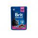 Корм влажный Brit Premium Cat Chicken & Turkey pouch для кошек с курицей и индейкой 100 г 100273 /506019 фото 1