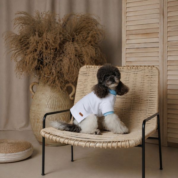 Футболка Pet Fashion Polo для собак ХXS PR244636 фото