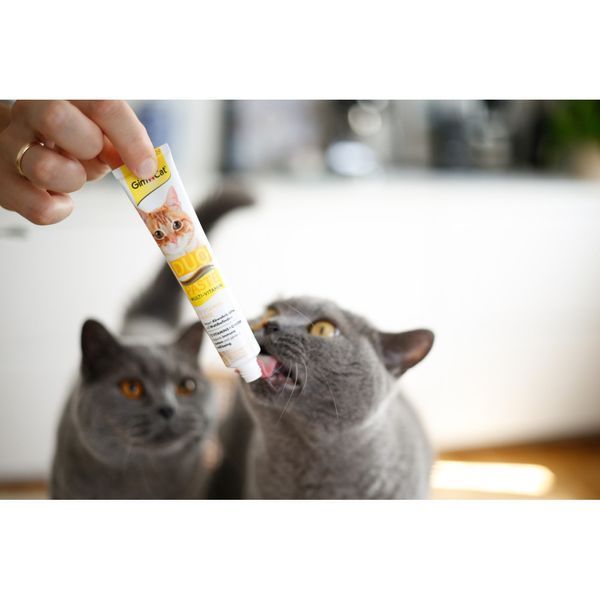 Паста GimCat DUO PASTE Multi-vitamin 12 vitamins with cheese для котів усіх порід 12 вітамінів та сир 50г G-421841 фото