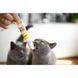 Паста GimCat DUO PASTE Multi-vitamin 12 vitamins with cheese для котів усіх порід 12 вітамінів та сир 50г G-421841 фото 4