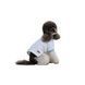 Футболка Pet Fashion Polo для собак ХXS PR244636 фото 2