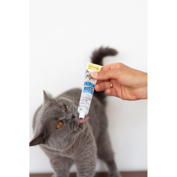 Паста GimCat DUO PASTE Multi-vitamin 12 vitamins with tuna для котів усіх порід 12 вітамінів та тунець 50г G-421858 фото