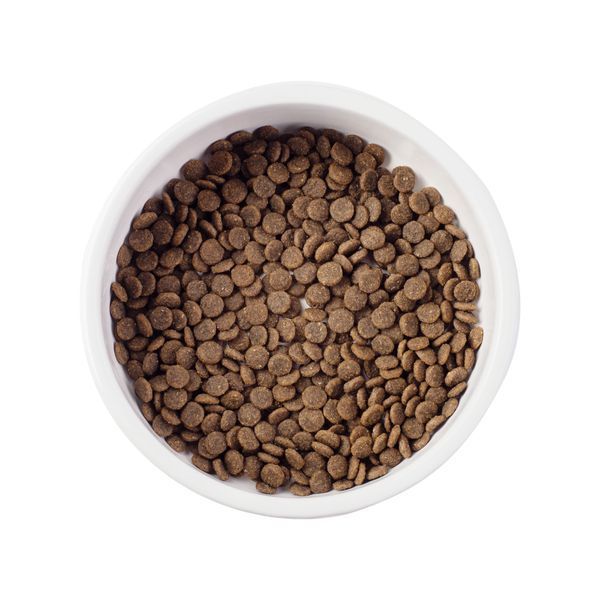 Nature's Protection Superior Care White Dogs Grain Free Salmon Junior All Breeds Сухий беззерновий корм для юніорів усіх порід з лососем, 10 кг NPSC45672 фото