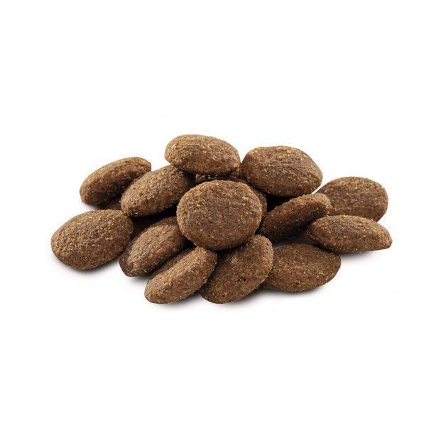 Корм сухий Brit Premium Dog Adult XL для дорослих собак гігантських порід вагою 45-90 кг з куркою 15 кг 170833/6529 фото