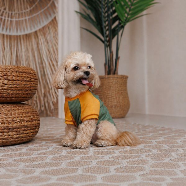 Футболка Pet Fashion Kent для собак XS2 PR244616 фото