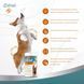 Вітаміни 8in1 Excel Glucosamine для цуценят та дорослих собак для суглобів55 шт 661827 фото 10