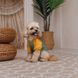 Футболка Pet Fashion Kent для собак XS PR244617 фото 3