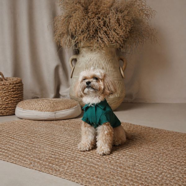 Сорочка Pet Fashion Seaman для собак XХS PR244619 фото