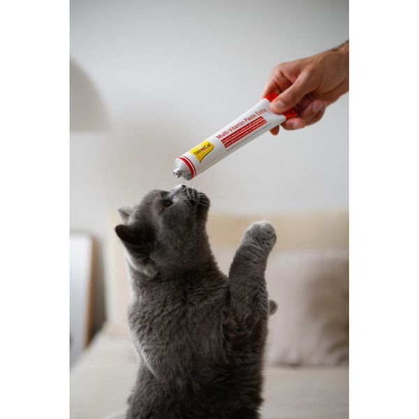Вітаміни GimCat Every Day Extra мультивітамінна паста для котів для покращення імунітета 200 г G-401898/421643 фото