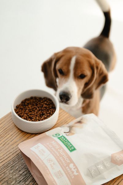 Nature's Protection Mini Junior Small Breeds Сухой корм для щенков малых пород с мясом птицы, 500 г NPS45723 фото