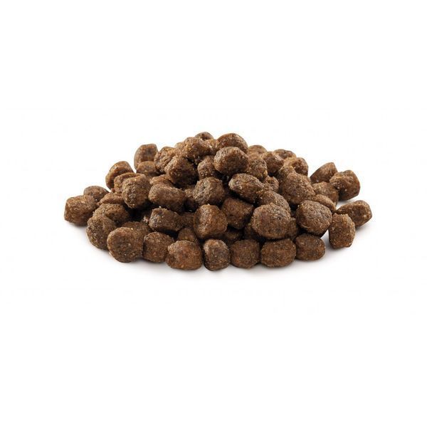 Корм сухой Brit Premium Dog Adult S для взрослых собак мелких пород весом 1-10 кг с курицей 3 кг 170810/6291 фото