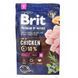 Корм сухой Brit Premium Dog Adult S для взрослых собак мелких пород весом 1-10 кг с курицей 3 кг 170810/6291 фото 3