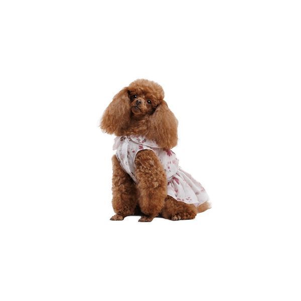 Сукня Pet Fashion Amelia для собак S PR244644 фото