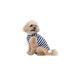 Майка Pet Fashion Tropic для собак L PR244569 фото 2