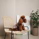 Сукня Pet Fashion Amelia для собак S PR244644 фото 7
