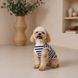 Майка Pet Fashion Tropic для собак L PR244569 фото 6