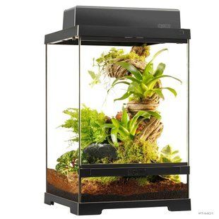 Террариум ExoTerra для экзотических животных Pro Terrarium стеклянный 30x30x45 см PT4401 фото