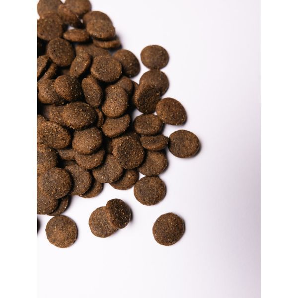 Корм сухой Savory Large Breeds rich in Fresh Turkey and Lamb для взрослых собак больших пород от 25 кг со свежим... 30235 фото