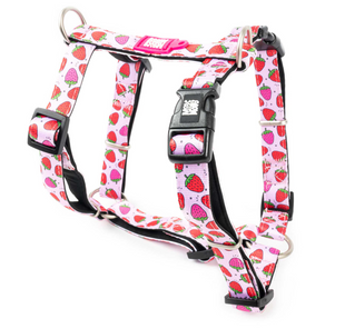Max&Molly (Макс энд Молли) H-Harness - Шлея для собак Strawberry Dream с принтом Клубничная мечта, M 221015 фото