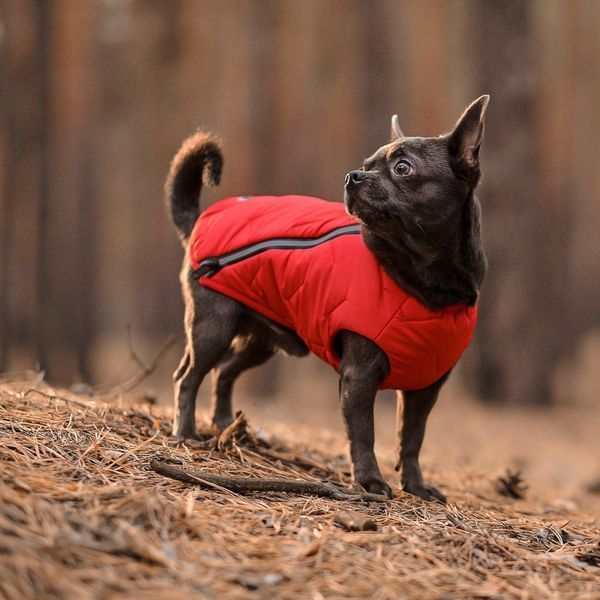 Жилет Pet Fashion E.Vest для собак червоний XL PR242450 фото