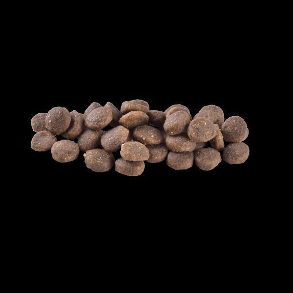 Корм сухой Brit Care Dog Grain-free Puppy для щенков беззерновой с лососем 1 кг 172193 фото