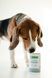 Nature's Protection Puppy Lamb Вологий корм для цуценят з ягням, 400 г KIK24627 фото 2