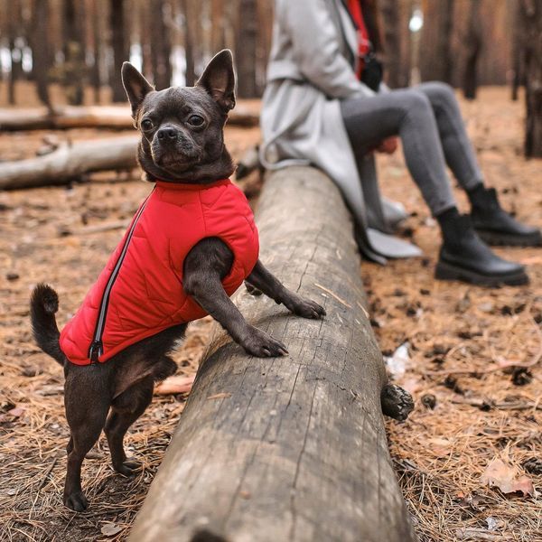Жилет Pet Fashion E.Vest для собак красный М2 PR242448 фото