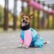 Комбінезон Milly дівчинка S2 такса для собак PR243978 фото 4