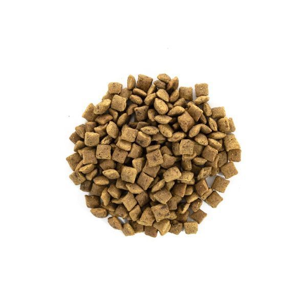 Корм сухой Brit Care Cat Grain Free Senior Weight Control для котов пожилого возраста с излишним весом с курицей 2 кг 171314/0945 фото
