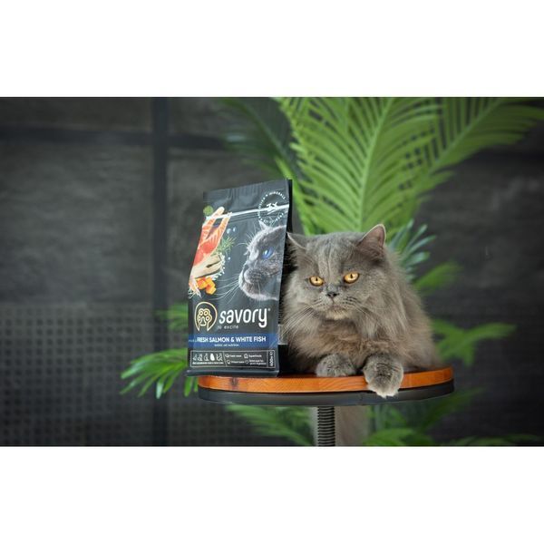 Корм сухой Savory Adult Cat Gourmand Fresh Salmon and White Fish для взрослых кошек со свежим лососем и белой рыбой... 30013 фото