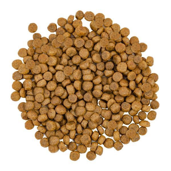 Корм сухой Savory Adult Cat Gourmand Fresh Salmon and White Fish для взрослых кошек со свежим лососем и белой рыбой... 30013 фото