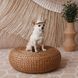 Панама Pet Fashion Gold для собак L PR244602 фото 7