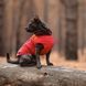Жилет Pet Fashion E.Vest для собак червоний XS-2 PR242444 фото 5