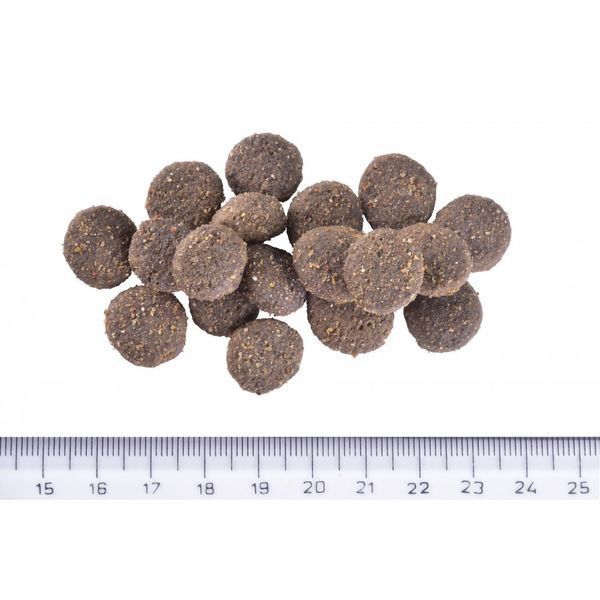 Корм сухой Brit Care Dog Hypoallergenic Dog Show Champion для выставочных собак с лососем и сельдью 12 кг 172228 фото