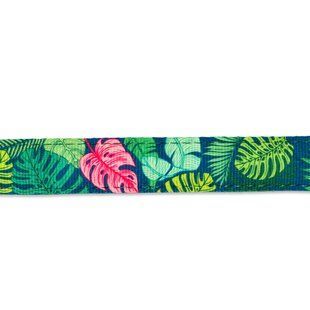 Max&Molly (Макс енд Моллі) Smart ID Collar - Нашийник для собак Tropical з принтом Тропіки, S 196082 фото