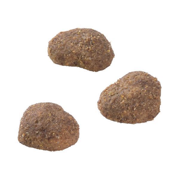 Ласощі Brit Care Superfruits Snack Lamb д/котів з ягням і кокосом 100 г 100651 фото
