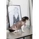 Жилет Pet Fashion Hardy для собак утепленный водонепроницаемый с отверстием для поводка бежевый размер XL PR243745***** фото 6
