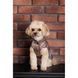 Жилет Pet Fashion Hardy для собак утепленный водонепроницаемый с отверстием для поводка бежевый размер XL PR243745***** фото 9