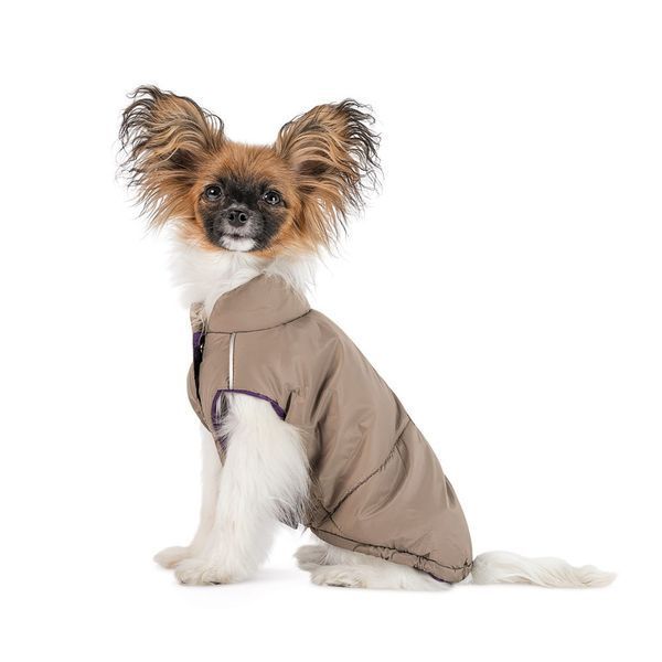 Жилет Pet Fashion Hardy для собак утепленный водонепроницаемый с отверстием для поводка бежевый размер L PR243744***** фото