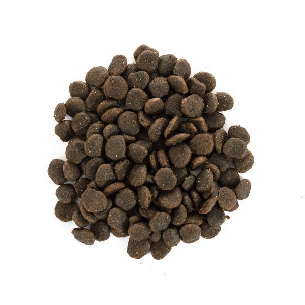 Корм сухий Brit Care Grain Free Mini Yorkshire для йоркширських тер&rsquo;єрів з лососем та тунцем 400 г 170780/0206 фото