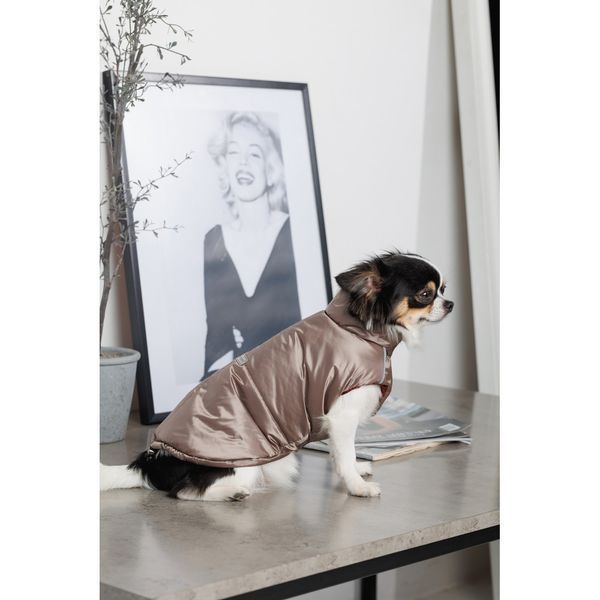 Жилет Pet Fashion Hardy для собак утепленный водонепроницаемый с отверстием для поводка бежевый размер L PR243744***** фото