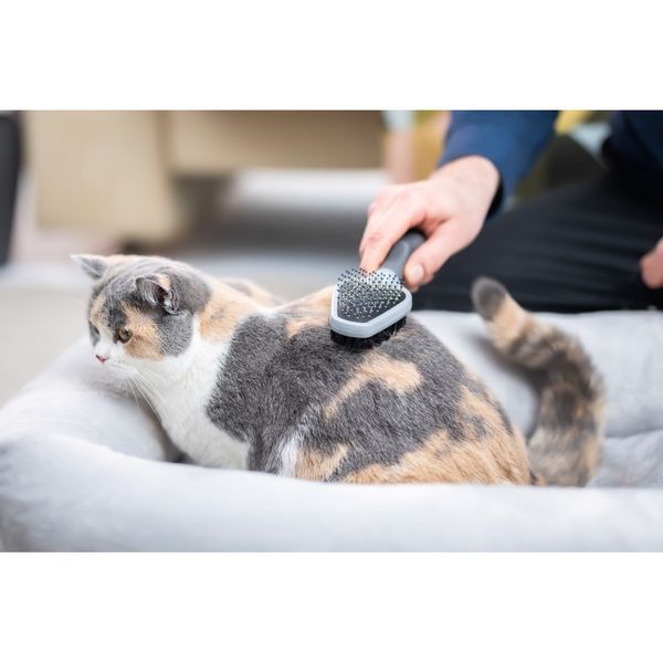 Гребінець-щітка FURminator для котів та собак двостороння з гумовою ручкою та захисними кульками 691663 СПЕЦЦЕНА фото