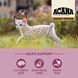 Acana highest protein kitten &ndash; сухой корм для котят 1,8 кг a72325 фото 4
