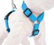 Лента Harness XL Blue 2,5 см JS25 фото 3