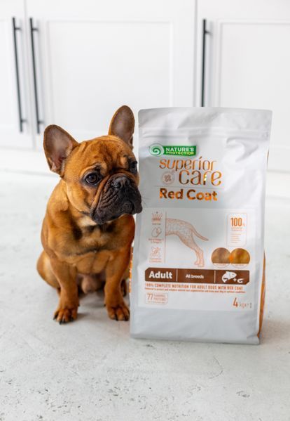 Nature's Protection Superior Care Red Coat Grain Free Salmon Adult All Breeds Сухий беззерновий корм для дорослих собак усіх порід з рудим забарвленням з лососем, 4 кг NPSC47234 фото