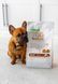 Nature's Protection Superior Care Red Coat Grain Free Salmon Adult All Breeds Сухий беззерновий корм для дорослих собак усіх порід з рудим забарвленням з лососем, 4 кг NPSC47234 фото 3