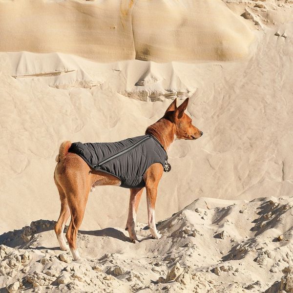 Жилет Pet Fashion E.Vest для собак серый XS-2 PR242436 фото