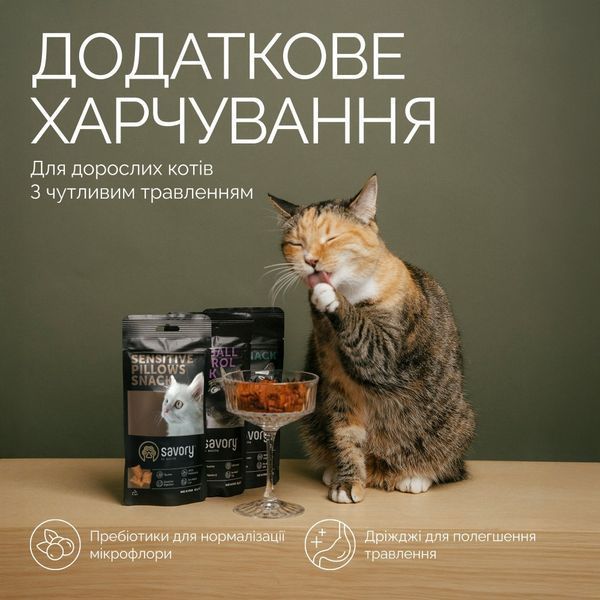 Хрустящие лакомства Savory Cats Snacks Pillows Sensitive для взрослых кошек с чувствительным пищеварением, 60 г 21328 фото