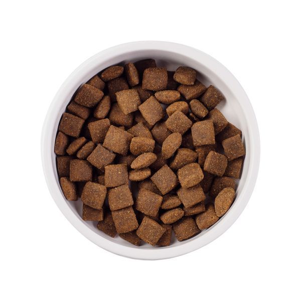 Nature's Protection Superior Care Red Coat Grain Free Salmon Adult All Breeds Сухий беззерновий корм для дорослих собак усіх порід з рудим забарвленням з лососем, 4 кг NPSC47234 фото